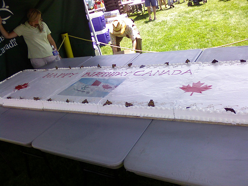 Canada Day 2008 Cake